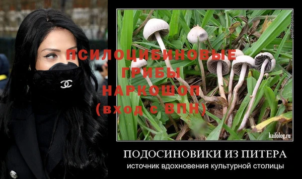 не бодяженный Алексин