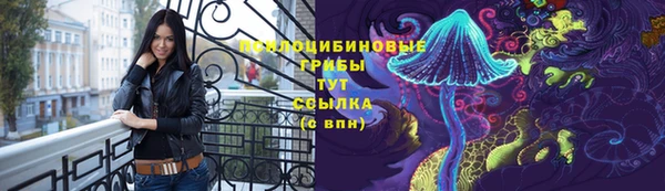 гидропоника Алексеевка